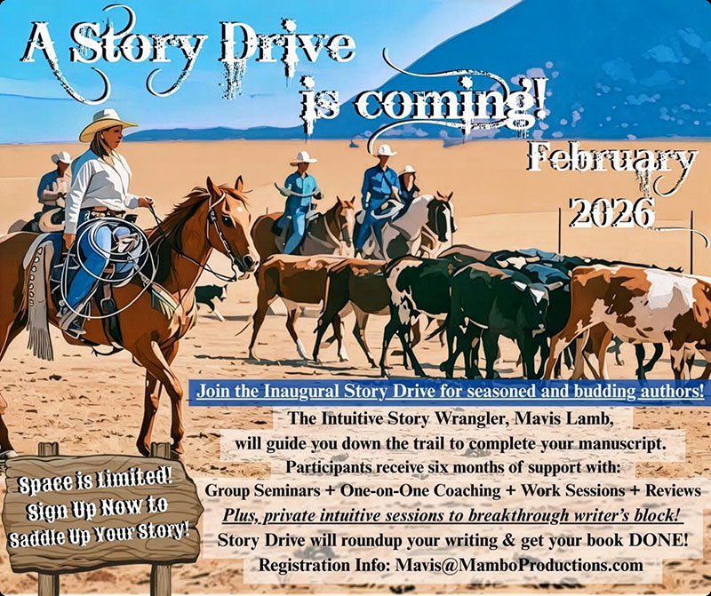 Story Drive